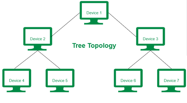 What is network topology